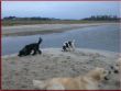 Alle am Strandrahmen.jpg