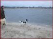 Strandguckrahmen.jpg