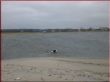 Schwimmenrahmen.jpg