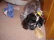 DSC00017.JPG