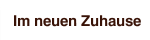 Im neuen Zuhause